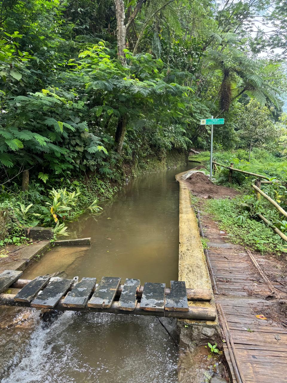 Jembatan kayu di hutan tropis