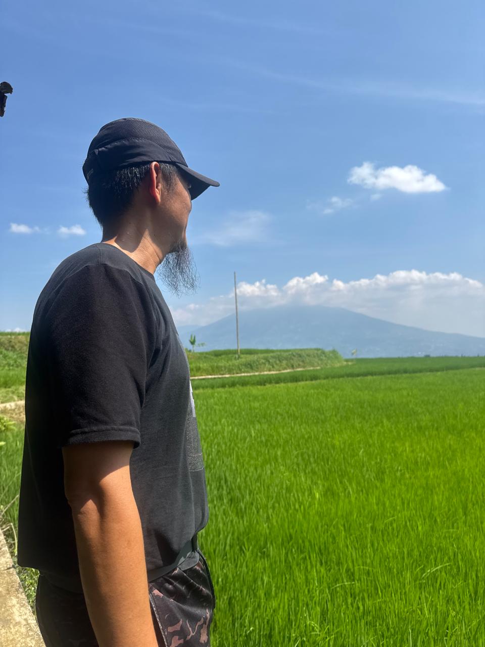 Menikmati pemandangan sawah hijau